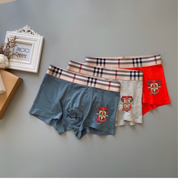 Burberry 2022 Трусы OR_0903BR3