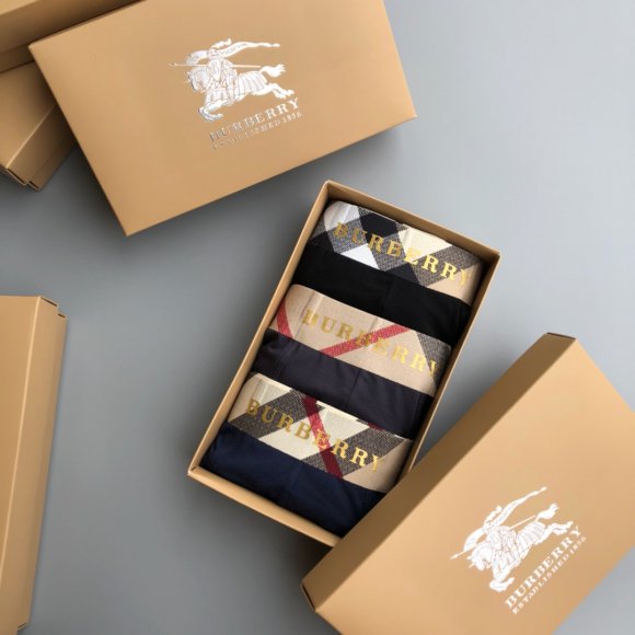 Burberry 2022 Трусы OR_0903BR3