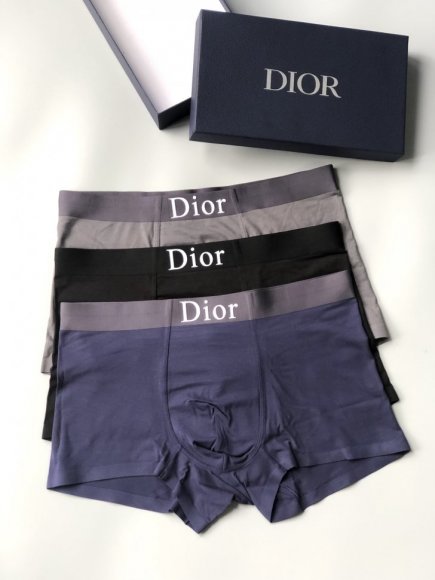 Dior 2022 Трусы OR_0903DR7
