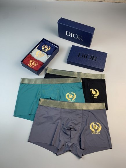Dior 2022 Трусы OR_0903DR7