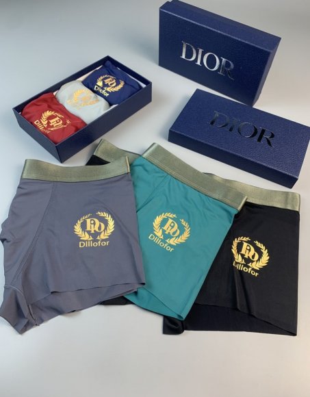 Dior 2022 Трусы OR_0903DR7