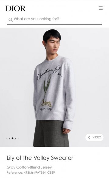 Dior Lily - Мужская кофта свитер TJ_1608DI3 Dior Lily - Мужская кофта свитер TJ_1608DI3