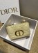 Dior Caro mini Женская сумка- клатч DG_1002DI1