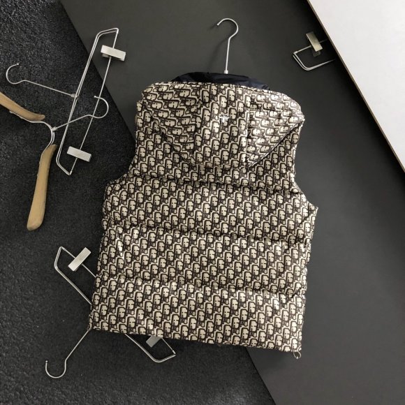 Dior - Мужской жилет пуховик DZ_1310DI7