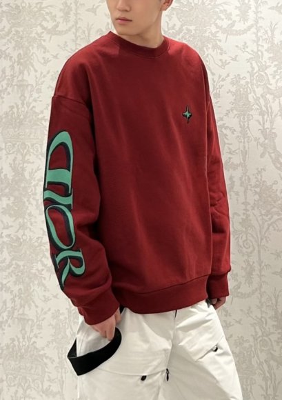 Dior - Мужская кофта свитшот DZ_0611DI4