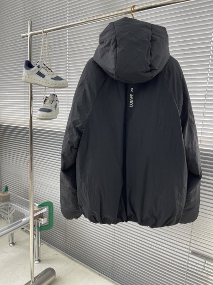 Loewe - Мужская куртка пуховик TJ_2310LO11