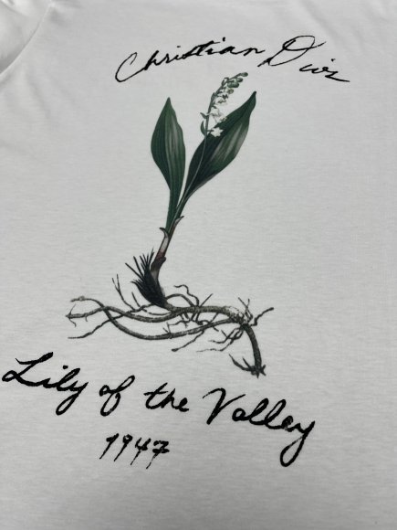 Dior - Мужская футболка майка DZ_0705DI3