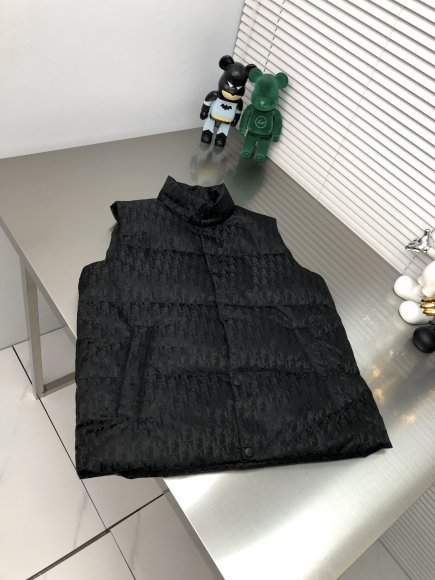 Dior - Мужской жилет пуховик DZ_0512DI4