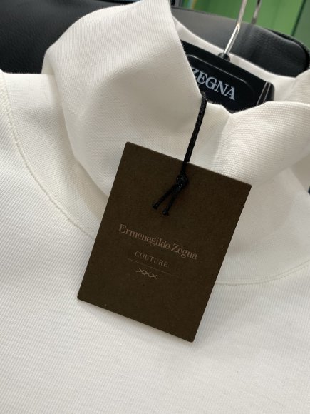 Ermenegildo Zegna - Мужская кофта водолазка свитшот TI_1209EZ4 Ermenegildo Zegna - Мужская кофта водолазка свитшот TI_1209EZ4