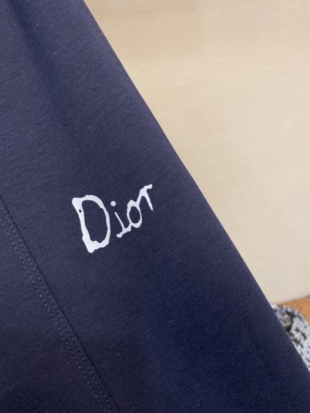 Dior - Мужские спортивные штаны DZ_2810DI1
