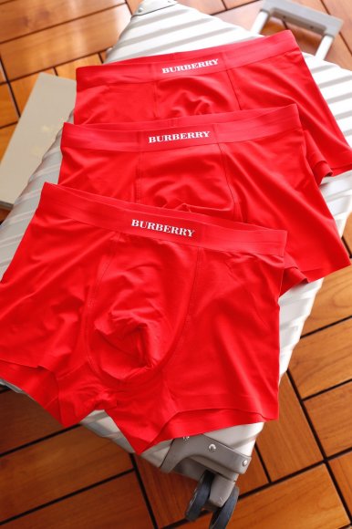 Burberry трусы набор из 3 NG_0402BU13