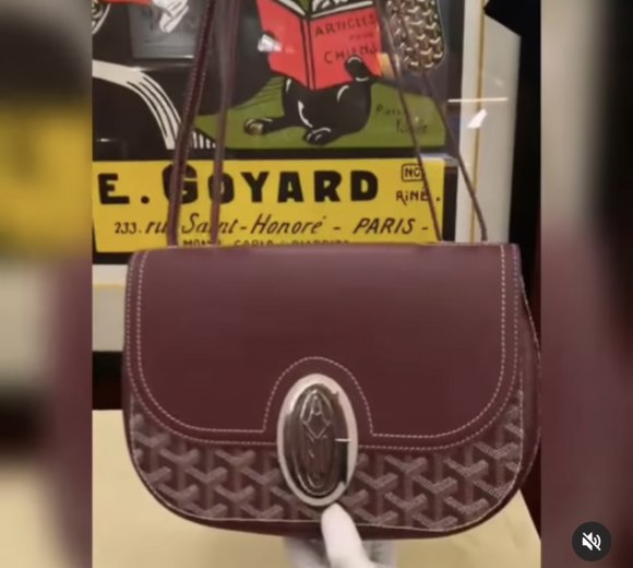 Goyard 233 Женская сумка мессенджер GI_0602GO1 Goyard 233 Женская сумка мессенджер GI_0602GO1