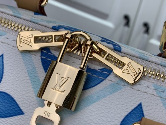 Louis Vuitton Speedy 25 - Сумка бокс LG_2108LV10 Louis Vuitton Speedy 25 - Сумка бокс LG_2108LV10