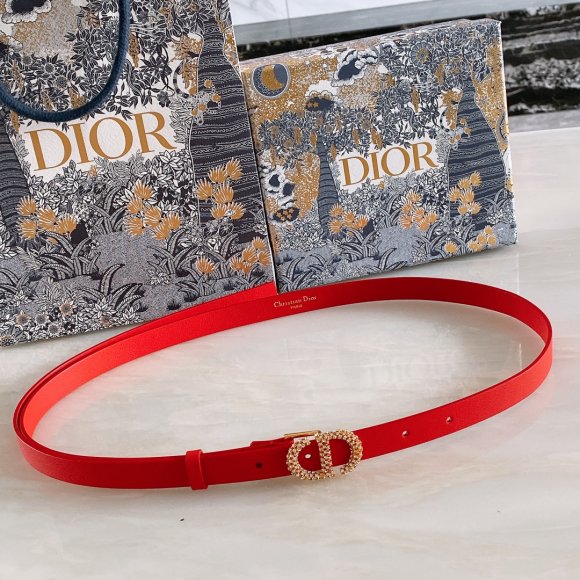 Dior Женский ремень 1.7см RE_2009DI1 Dior Женский ремень 1.7см RE_2009DI1