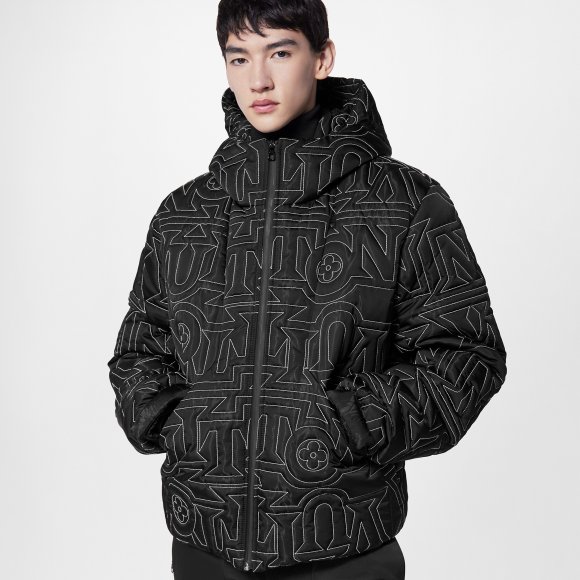 Louis Vuitton Snow - Мужская стеганная куртка DZ_1011LV8