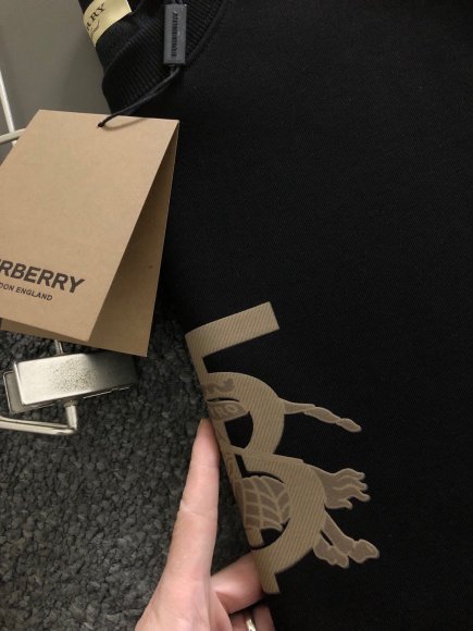 Burberry - Мужская утепленная кофта свитшот DF_1512BU3 Burberry - Мужская утепленная кофта свитшот DF_1512BU3