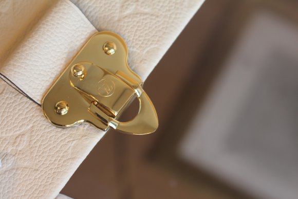 Louis Vuitton Женская сумка LV_1102LV3