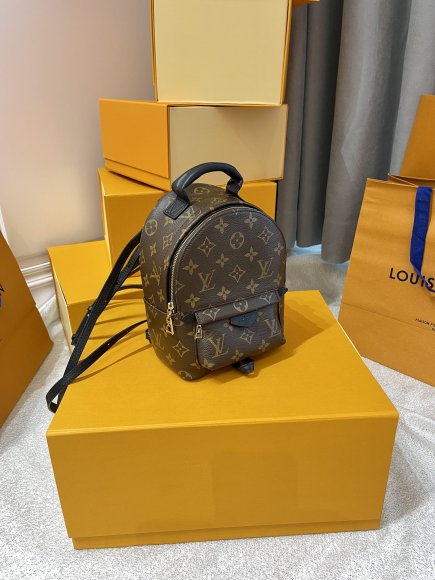 Louis Vuitton Palm Springs Женская сумка - рюкзак LL_0302LV1