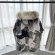 Canada Goose 08 Expedition - Мужская куртка пуховик DZ_3110CG4
