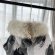 Canada Goose 08 Expedition - Мужская куртка пуховик DZ_3110CG4