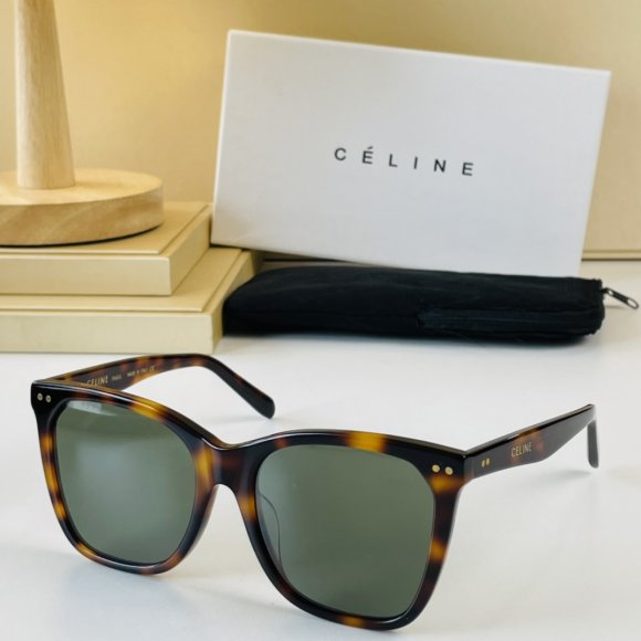 Celine очки K2_0902CE13 Celine очки K2_0902CE13