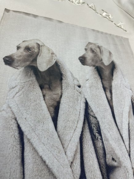 Max Mara - Мужская кофта худи DZ_1009MM3 Max Mara - Мужская кофта худи DZ_1009MM3