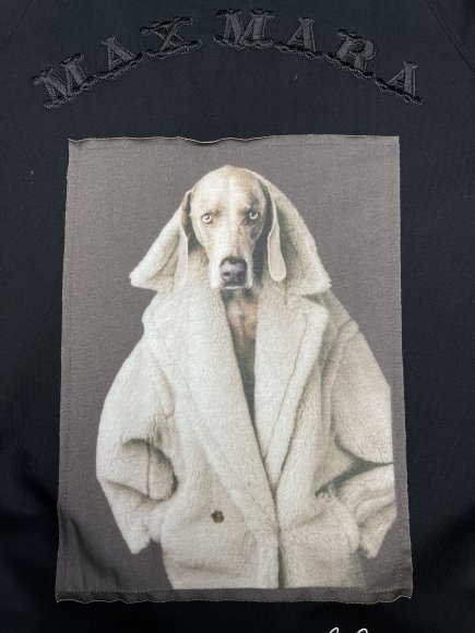 Max Mara - Мужская кофта худи DZ_1009MM3 Max Mara - Мужская кофта худи DZ_1009MM3