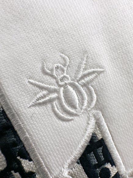 Dior - Мужские шорты DZ_0706DI6