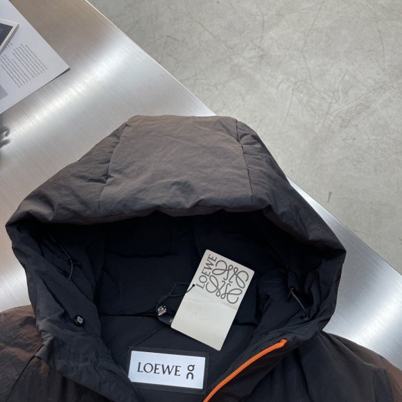 Loewe - Мужская куртка пуховик TJ_2310LO11