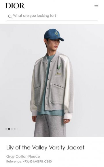 Dior Varsity - Мужская куртка ветровка бомбер ACE_1908DI8