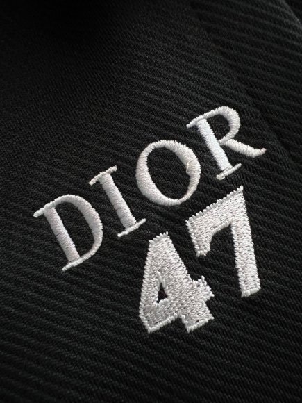 Dior - Мужские спортивные штаны DF_0807DI12